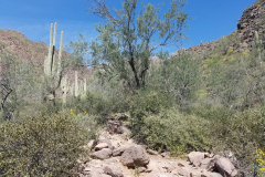 Hieroglyphic Trail | AZoffroading.com