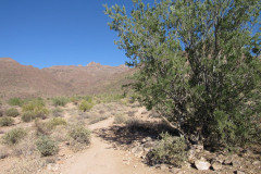 Hieroglyphic Trail | AZoffroading.com