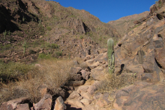 Hieroglyphic Trail | AZoffroading.com