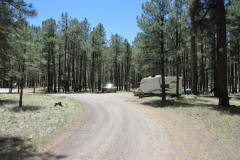Horse Springs Campground | AZoffroading.com