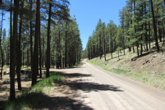 Horse Springs Campground | AZoffroading.com