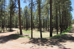 Horse Springs Campground | AZoffroading.com