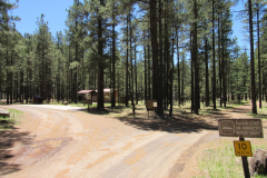 Horse Springs Campground | AZoffroading.com