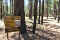 Horse Springs Campground | AZoffroading.com