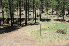 Horse Springs Campground | AZoffroading.com