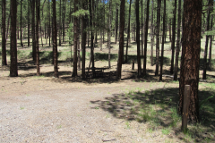 Horse Springs Campground | AZoffroading.com