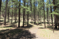 Horse Springs Campground | AZoffroading.com