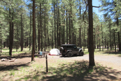 Horse Springs Campground | AZoffroading.com