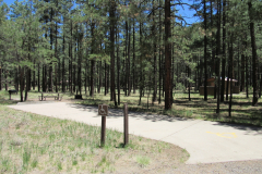 Horse Springs Campground | AZoffroading.com