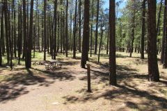 Horse Springs Campground | AZoffroading.com