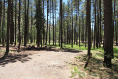 Horse Springs Campground | AZoffroading.com