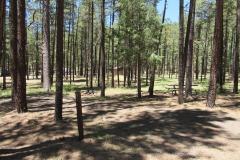 Horse Springs Campground | AZoffroading.com