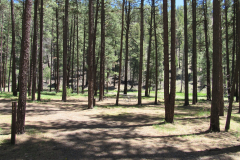 Horse Springs Campground | AZoffroading.com