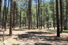 Horse Springs Campground | AZoffroading.com