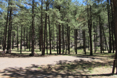 Horse Springs Campground | AZoffroading.com