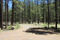 Horse Springs Campground | AZoffroading.com