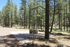 Horse Springs Campground | AZoffroading.com
