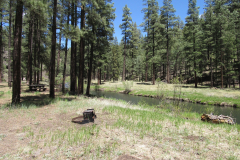 Horse Springs Campground | AZoffroading.com