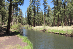Horse Springs Campground | AZoffroading.com
