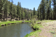 Horse Springs Campground | AZoffroading.com