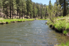 Horse Springs Campground | AZoffroading.com