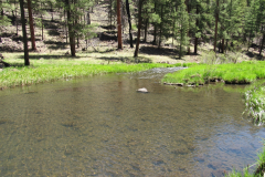 Horse Springs Campground | AZoffroading.com