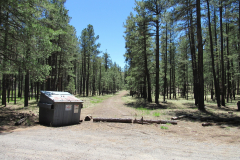 Horse Springs Campground | AZoffroading.com