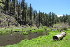 Horse Springs Campground | AZoffroading.com