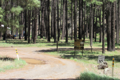 Horse Springs Campground | AZoffroading.com