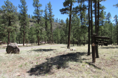Horse Springs Campground | AZoffroading.com