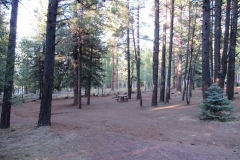 Horseshoe Cienega Lake Campground | AZoffroading.com