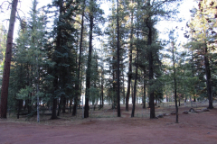Horseshoe Cienega Lake Campground | AZoffroading.com