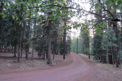 Horseshoe Cienega Lake Campground | AZoffroading.com