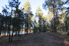 Horseshoe Cienega Lake Campground | AZoffroading.com