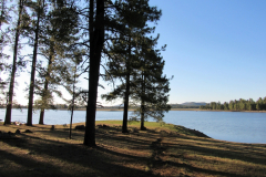 Horseshoe Cienega Lake Campground | AZoffroading.com