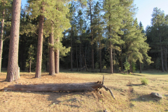 Horseshoe Cienega Lake Campground | AZoffroading.com