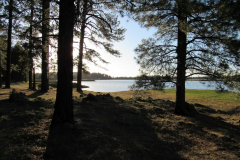 Horseshoe Cienega Lake Campground | AZoffroading.com