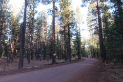 Horseshoe Cienega Lake Campground | AZoffroading.com