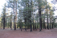 Horseshoe Cienega Lake Campground | AZoffroading.com