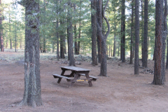 Horseshoe Cienega Lake Campground | AZoffroading.com