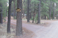 Horseshoe Cienega Lake Campground | AZoffroading.com