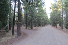 Horseshoe Cienega Lake Campground | AZoffroading.com