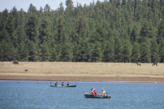 Horseshoe Cienega Lake Campground | AZoffroading.com