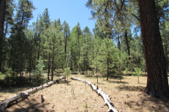 Horseshoe Cienega Lake Campground | AZoffroading.com