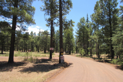 Horseshoe Cienega Lake Campground | AZoffroading.com
