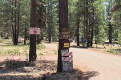 Horseshoe Cienega Lake Campground | AZoffroading.com