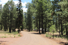 Horseshoe Cienega Lake Campground | AZoffroading.com