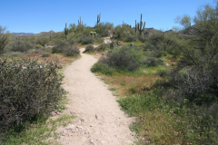 Massacre Grounds Trail | AZoffroading.com