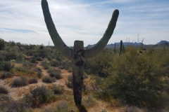 Massacre Grounds Trail | AZoffroading.com