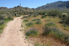 Massacre Grounds Trail | AZoffroading.com